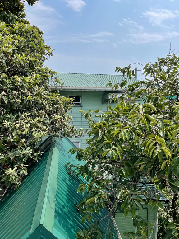 Квартира Комната — Лазаревское