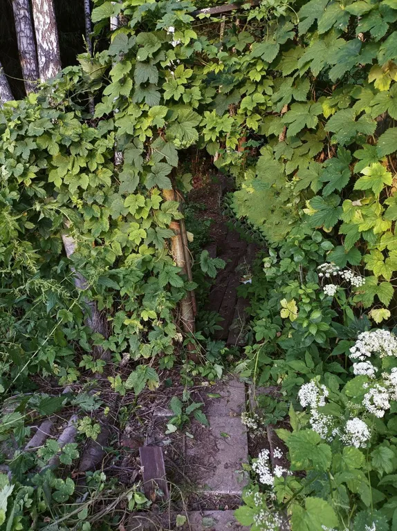 Новый домик рядом с лесом