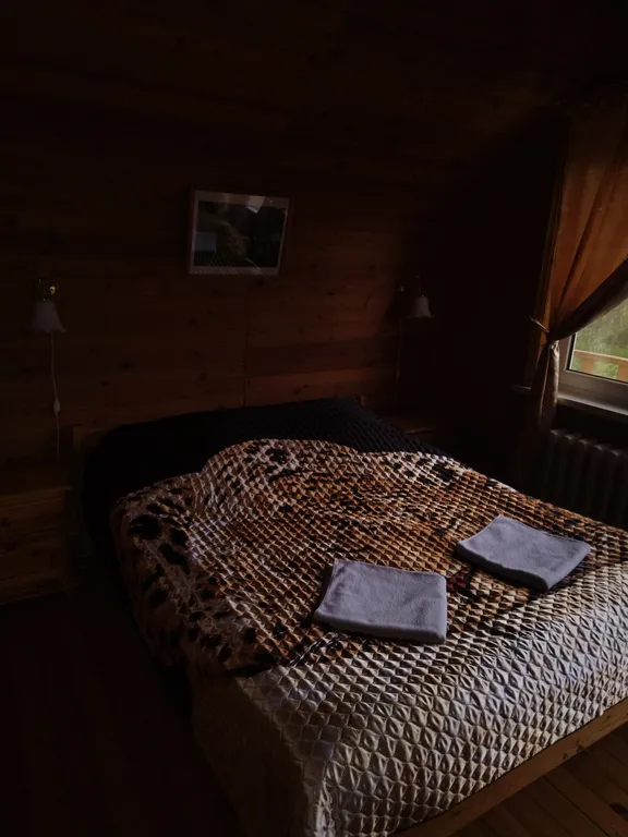 Домики в лесу на берегу реки Волге