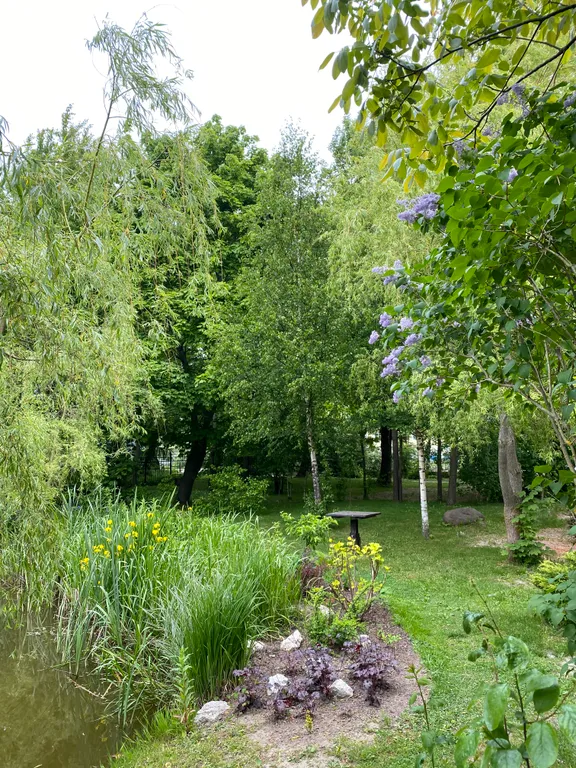 Квартира Квартира Апартамент на первом этаже коттеджа с отдельным входом и видом на сад — Зеленоградск