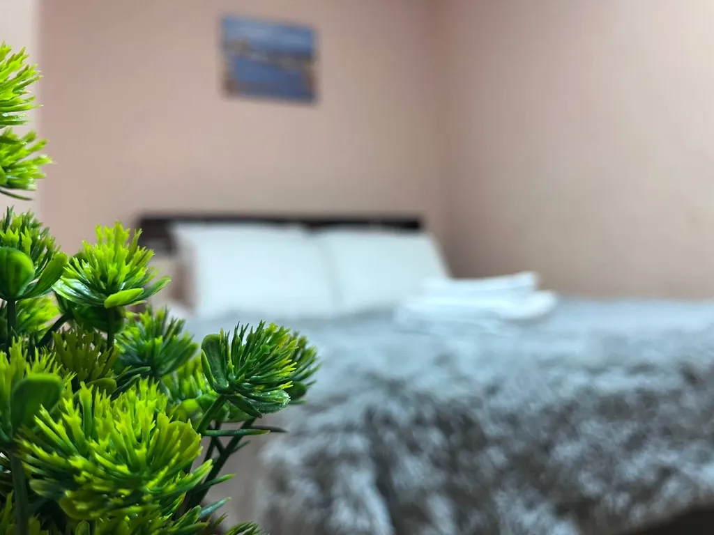 1-комнатная Квартира — аренда посуточно в Ленинск-Кузнецкий