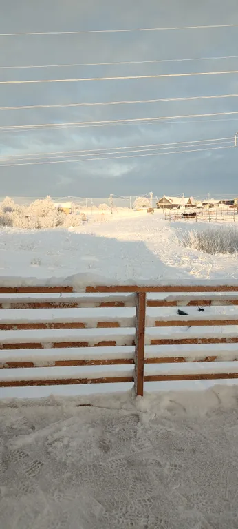 Коттедж Домик около Красного села с видом на поле и лошадок — Санкт-Петербург