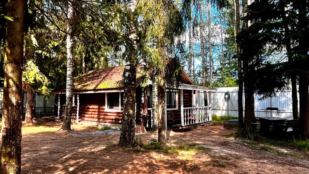 Уютный бревенчатый дом и баня, на одном участке