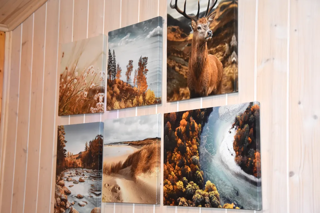 Коттедж Дом на Волге с рубленной баней и банным чаном — Бор