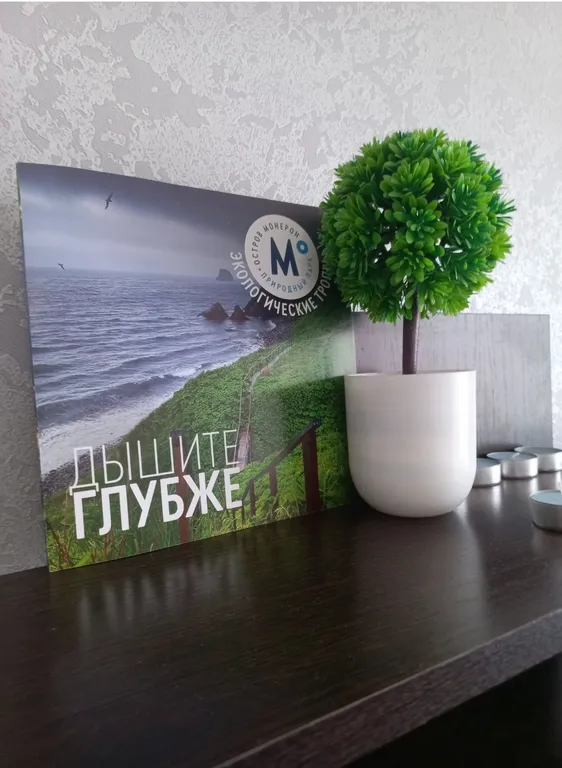 Уютная квартира в центре города рядом с СТК Горный Воздух