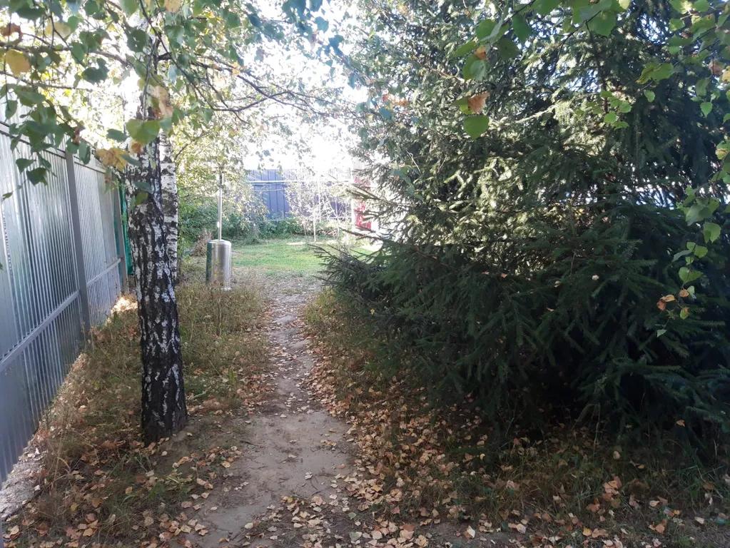 Дом с зоной отдыха на новый год на природе