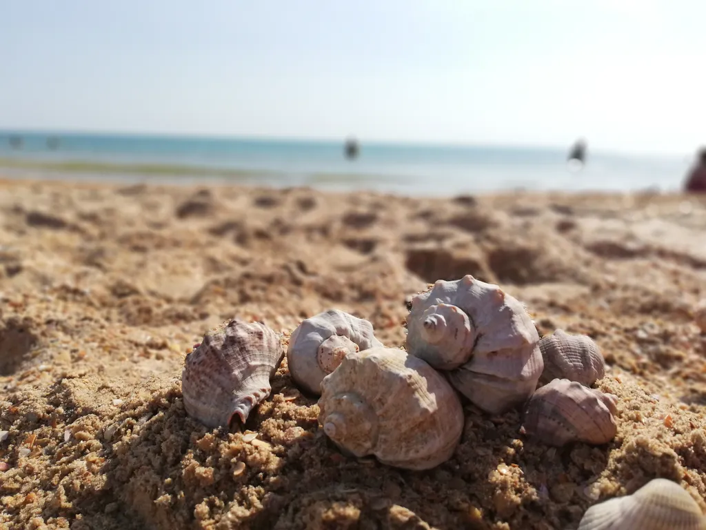 З-местный эконом