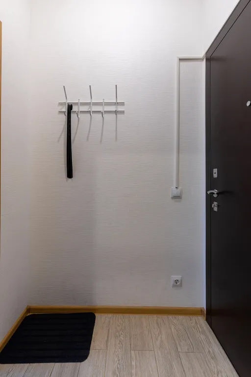 Квартира Квартира Живи в Песочном, Студия 1+1 — Песочный