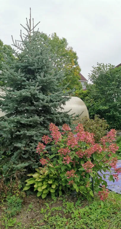 Уютный загородный дом с красивой благоустроенной территорией.