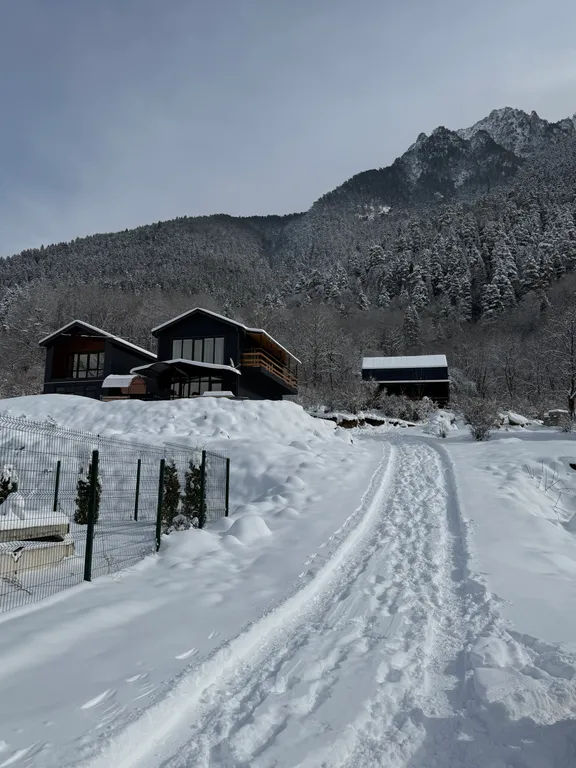 Эко домик в лесу