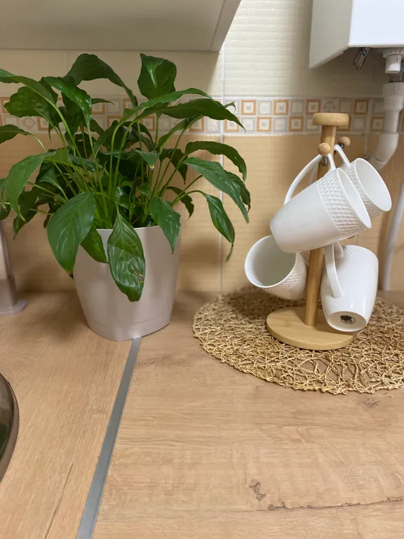 2к квартира напротив Нижегородской Ярмарки и Стадиона