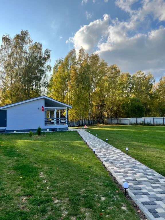 Уютный дом с видом на березовую рощу