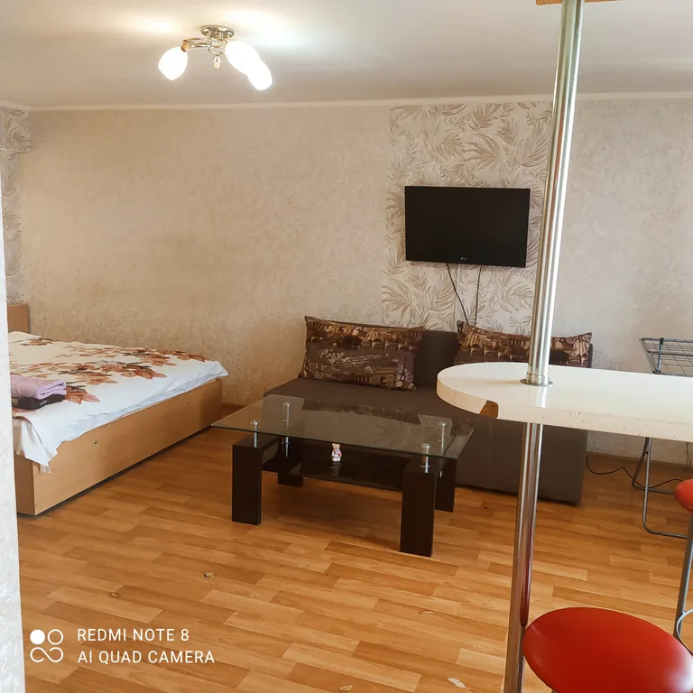 Квартира-студия с барной стойкой