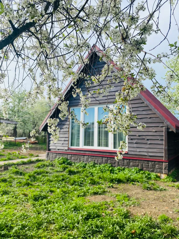 Уютный домик Летопись