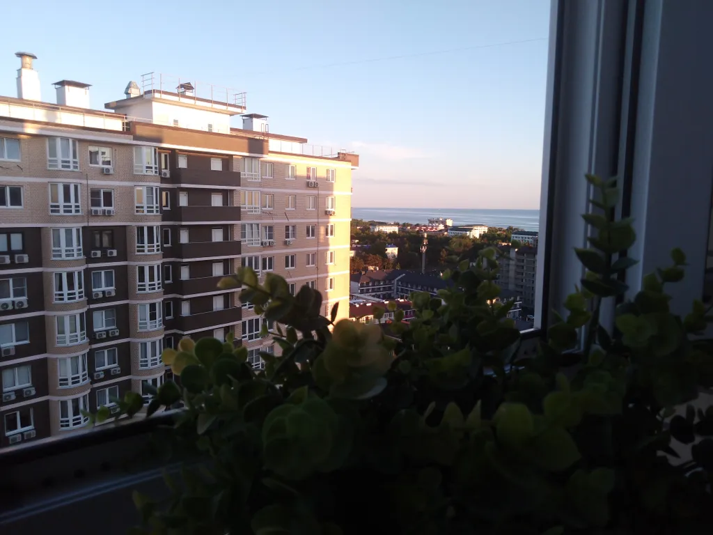 Квартира на берегу моря