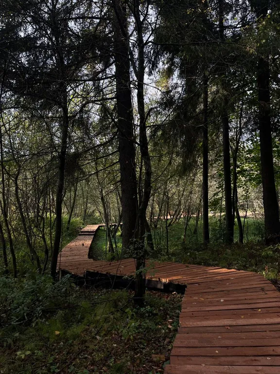 Синий домик в лесу на Живописной улице