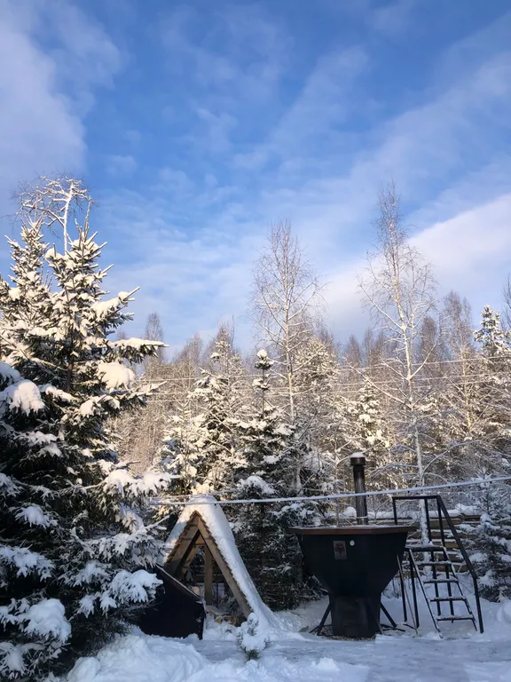 Уютный дом с баней и чаном в лесу