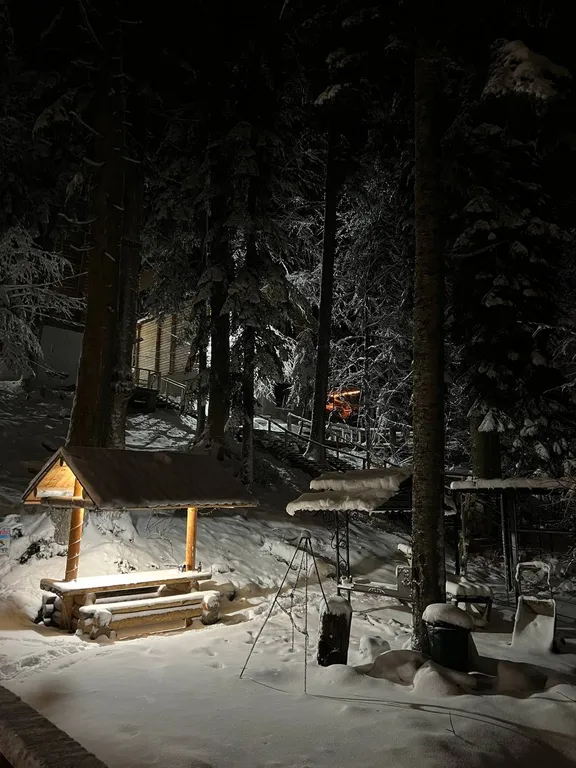 Домик в лесу до 8 человек