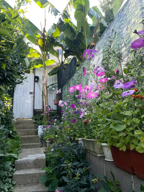 Квартира Квартира Апартамент Platinum с видом на горы — Сочи