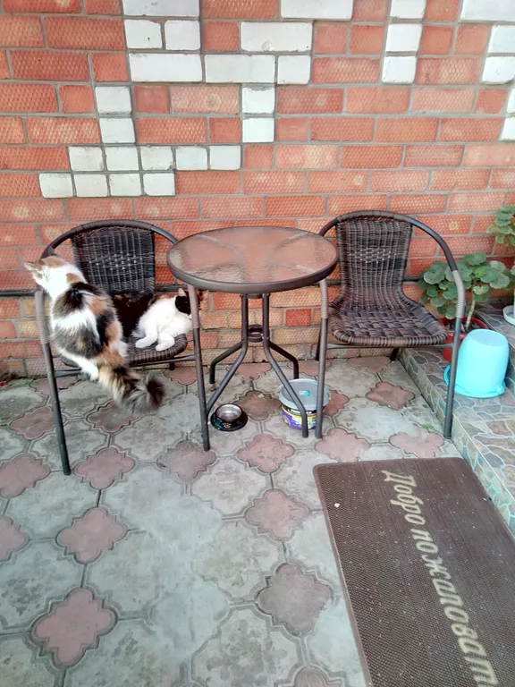 Комнаты в частном секторе, рядом с морем