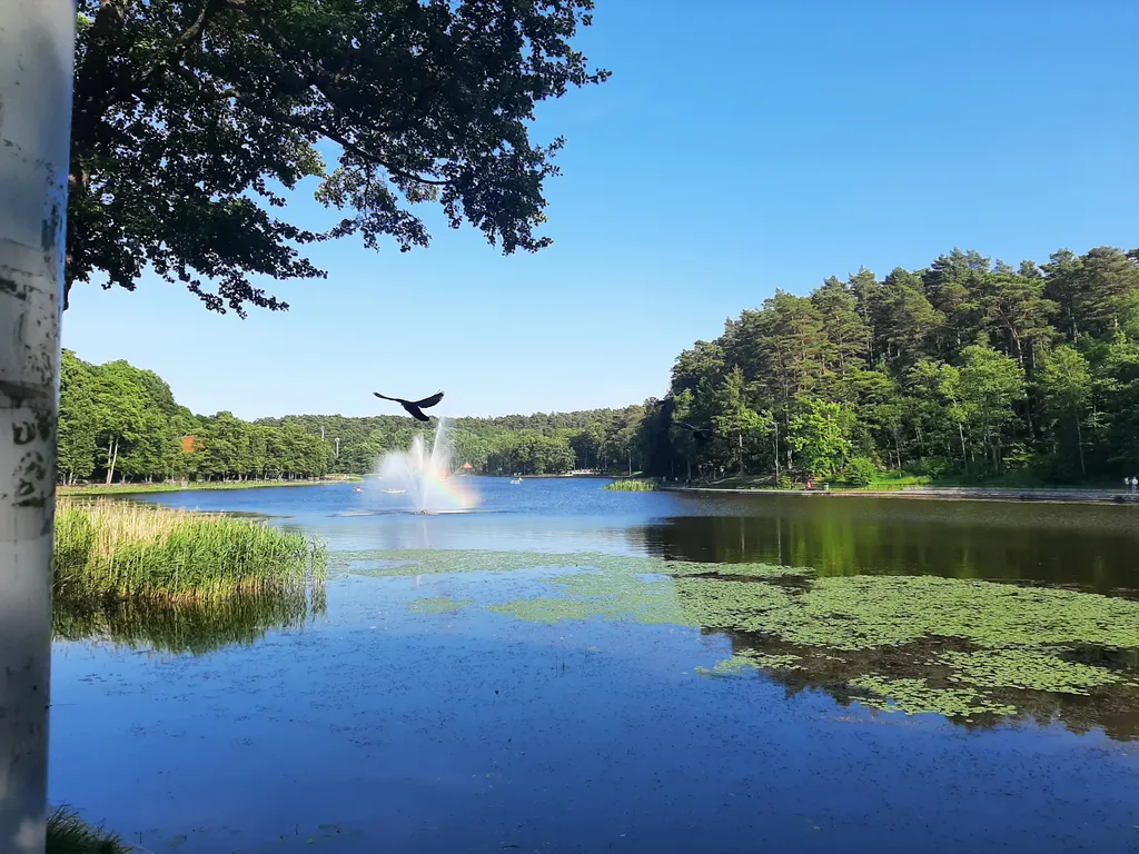 Квартира Квартира Vi&Va Кристалл комфорт — Светлогорск