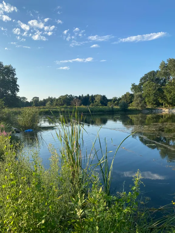 Дом из сруба в Самурском лесу