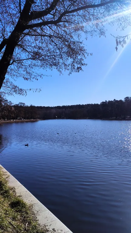 Современная квартира в Светлогорске