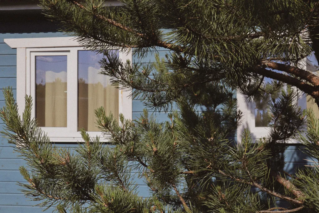 Дом с душой у соснового леса