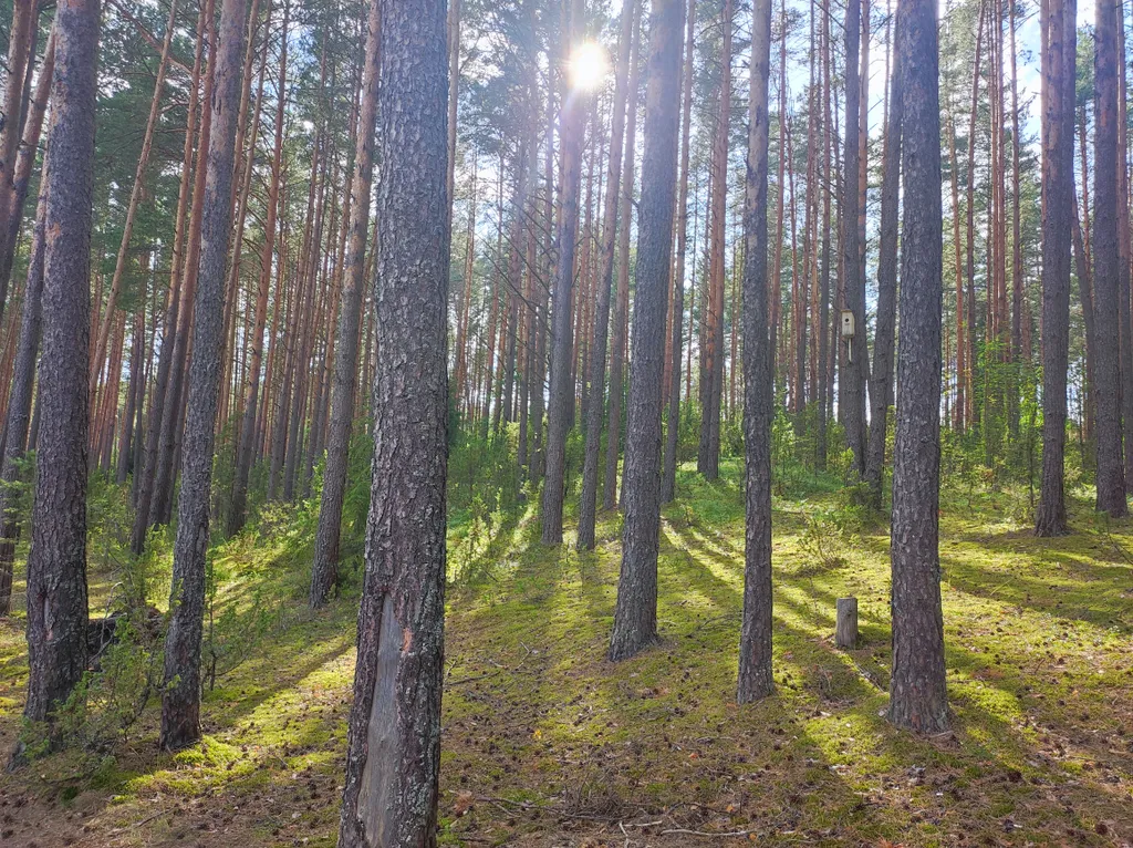 Коттедж на берегу озера