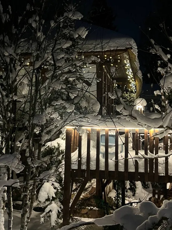 Уютный дом в сказочном лесу