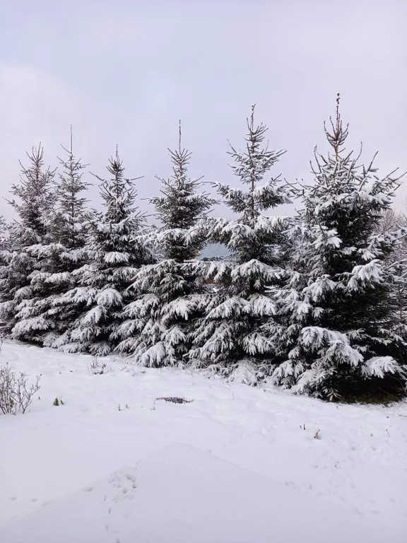 6-комнатный Дом