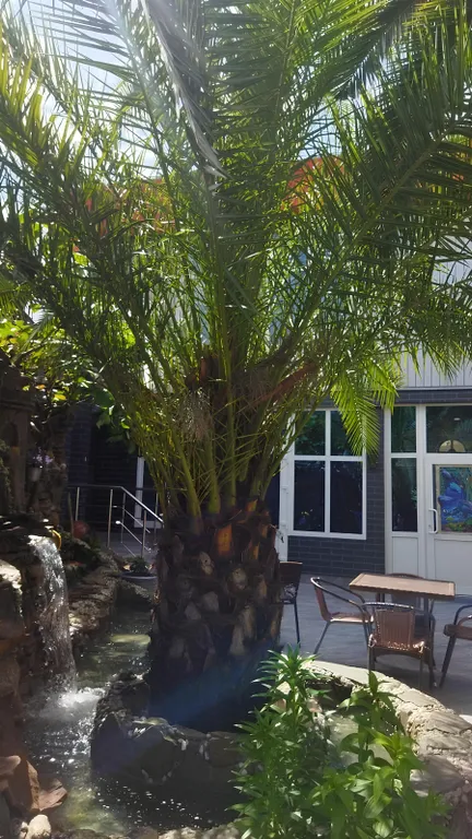 Квартира Комната — Адлер