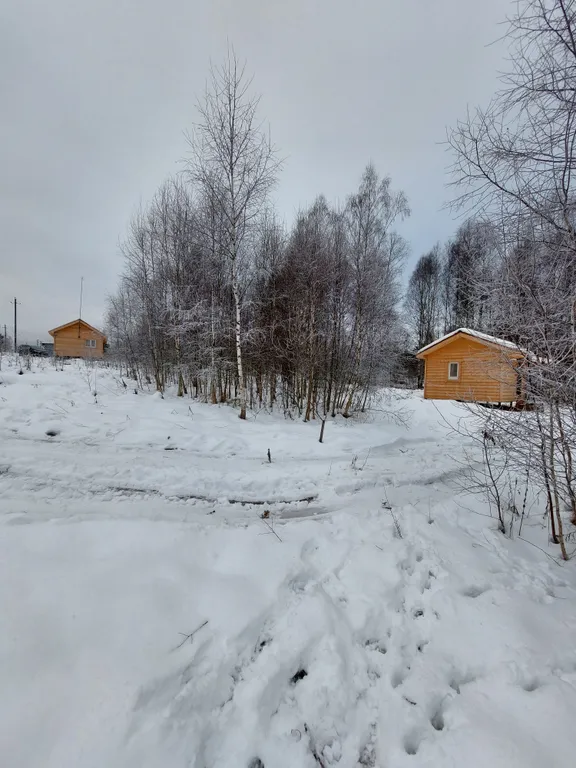 Уютный домик в заповедном лесу