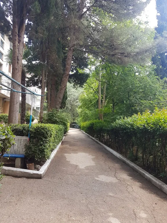 Квартира рядом с центром поселка