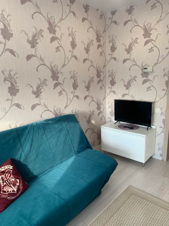 Уютная квартира-студия в прекрасном городе — аренда посуточно в Светлогорск