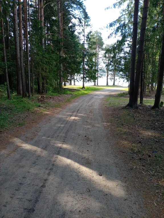 Дом у леса недалеко от песчаного пляжа