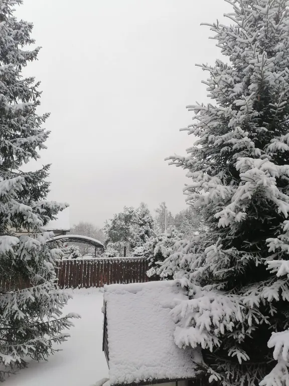 Загородный дом в стиле шале