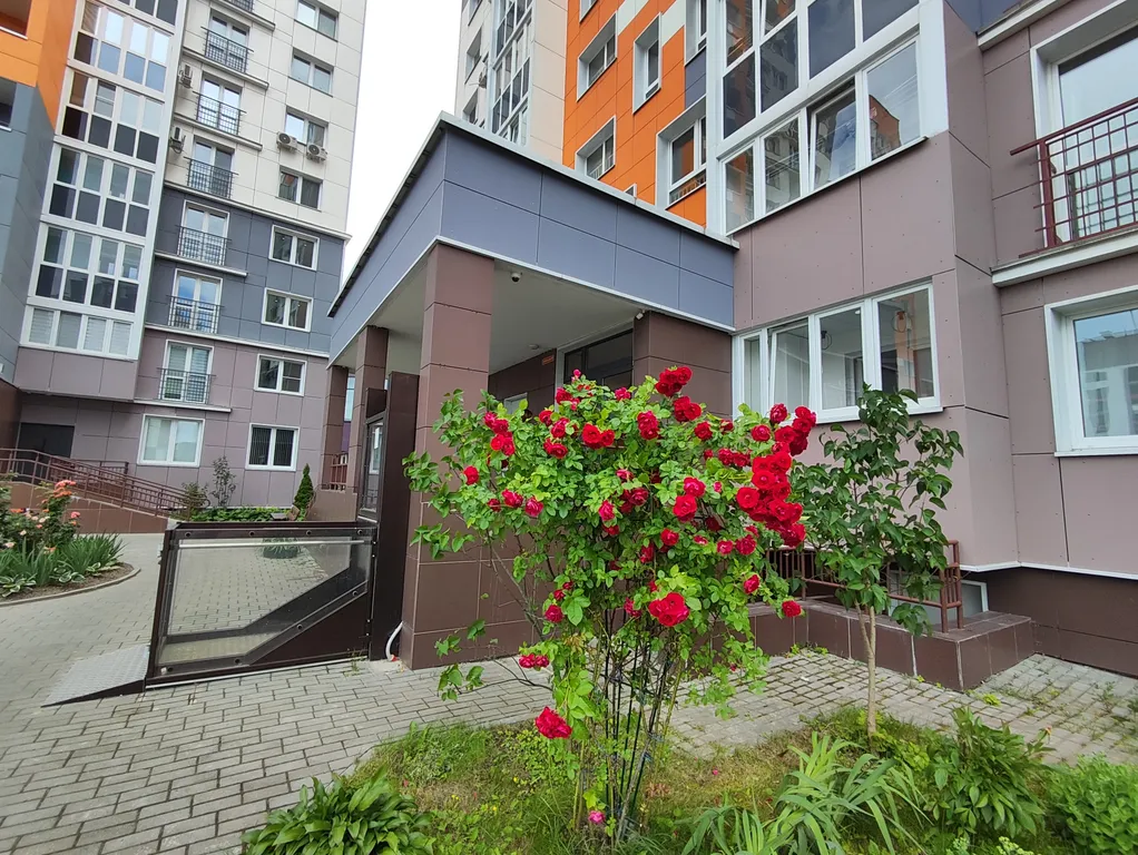 Центр новый дом, 11 этаж, вид на город