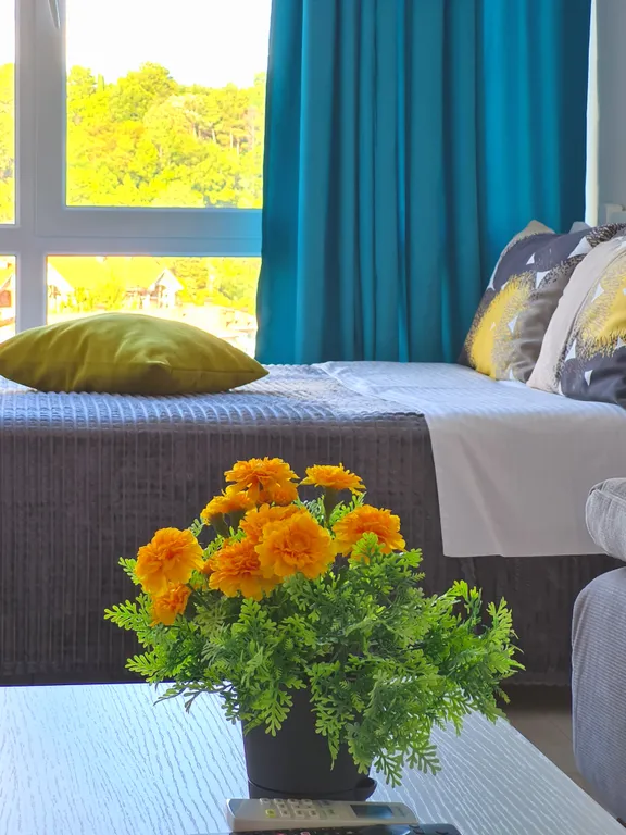 Светлая уютная студия в самом красивом месте