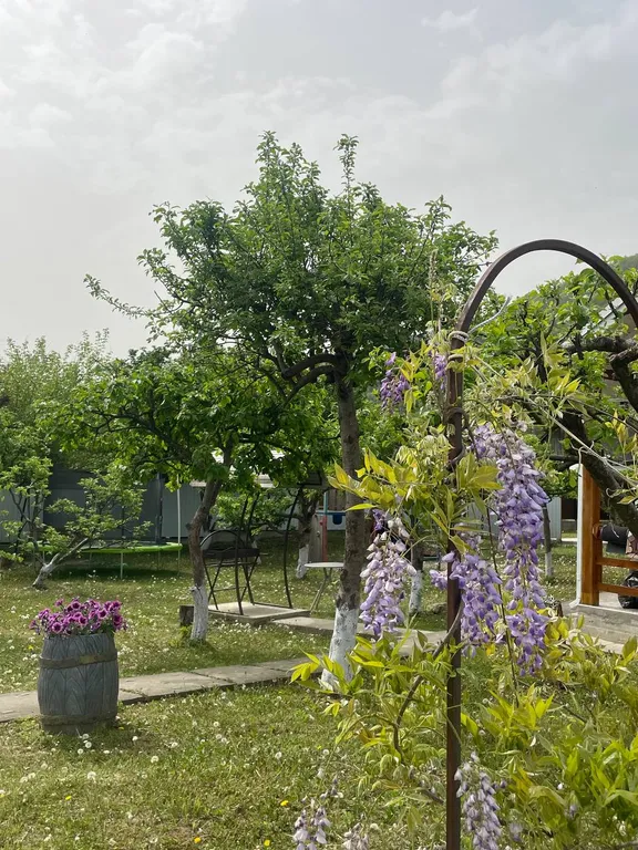 Номер с видом на горы Релакс