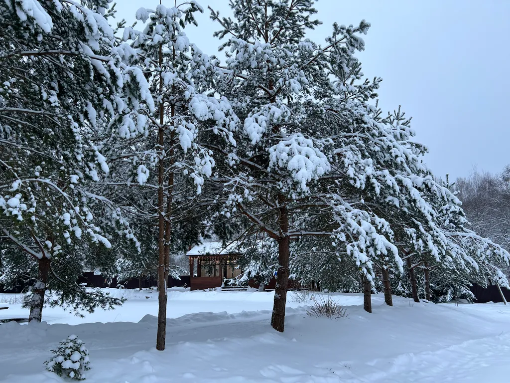 Элитный дом с озером и банным чаном