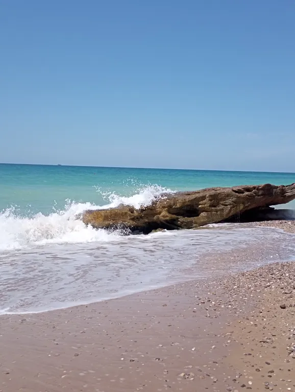 Двухместный номер улучшенный с кухней