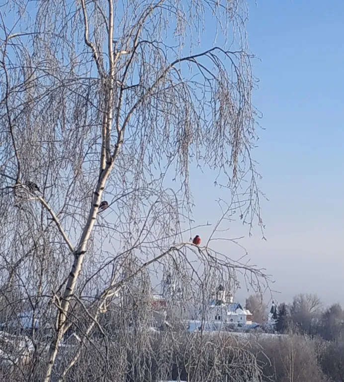 Квартира в центре