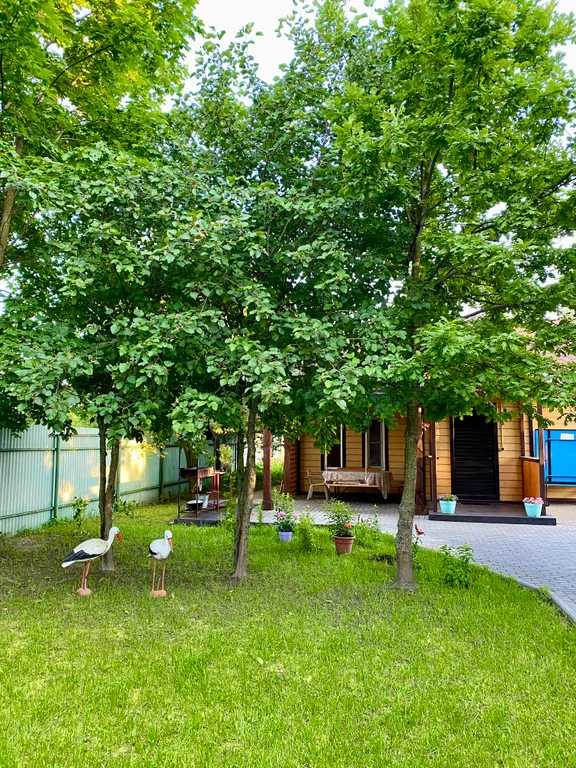 Коттедж Красивый дом с русской баней на дровах и теплым бассейном — Обухово