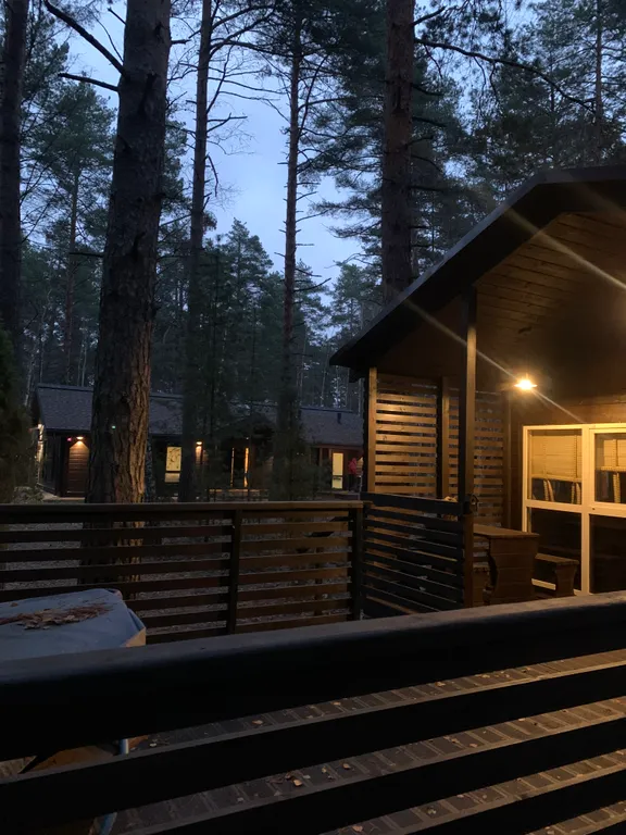 Дом в лесу с джакузи и баней