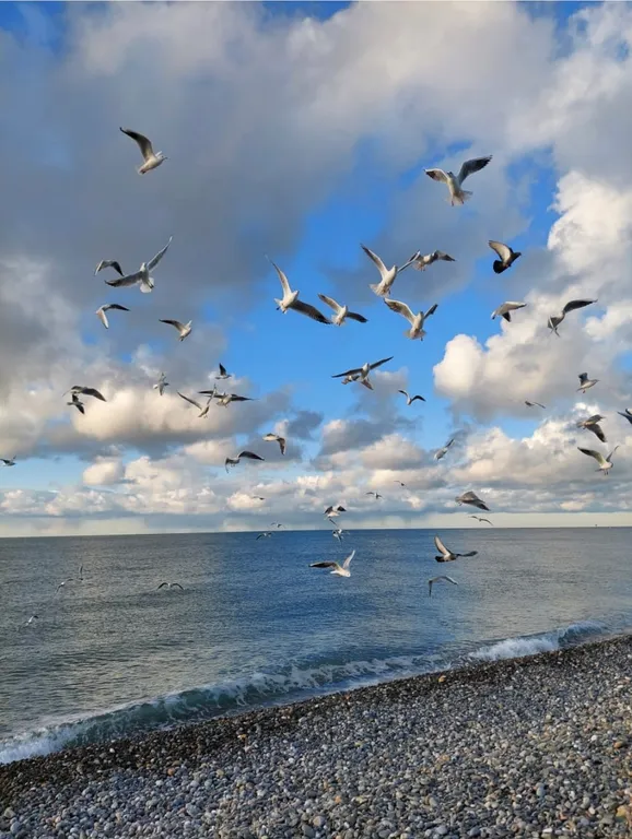 Квартира Квартира A cozy house — Сириус