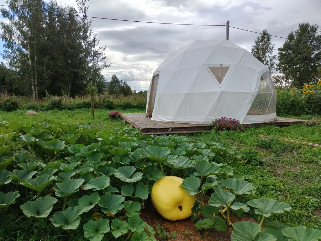 Дом в сердце русской деревни
