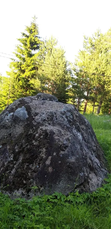 Коттедж Тёплый коттедж с баней на очень большой уединённой территории — Кротово