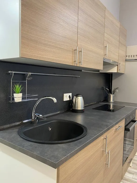 Уникальные апартаменты с выходом на кровлю ТЦ Галерея