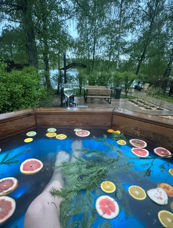 Уютный дом на берегу озера в березовой роще